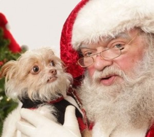 sketchy-santa-fails-the-dog-meets-someone-as-hairy-as-he-is-300x267